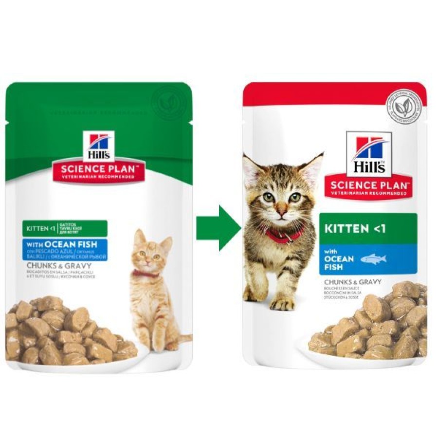 Gatti Hill's Science Plan | Hill'S Science Plan Kitten Alimento Per Gattini 85 Gr