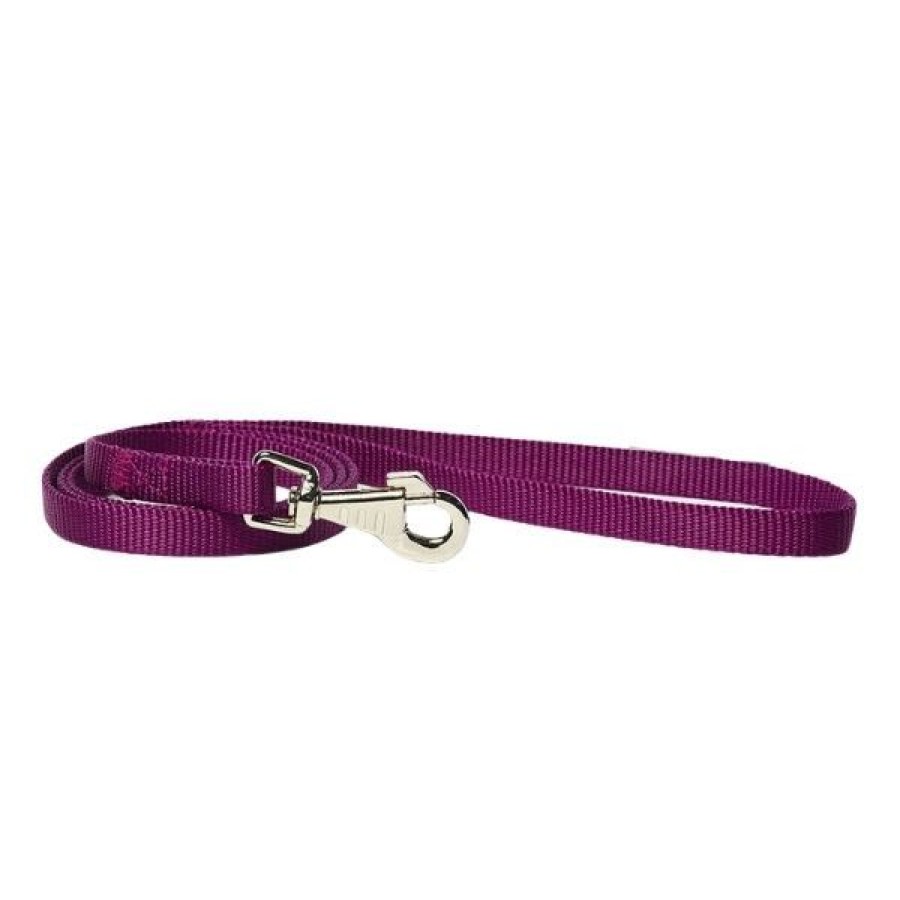 Cani PetUp | Guinzaglio In Nylon Classic Petup