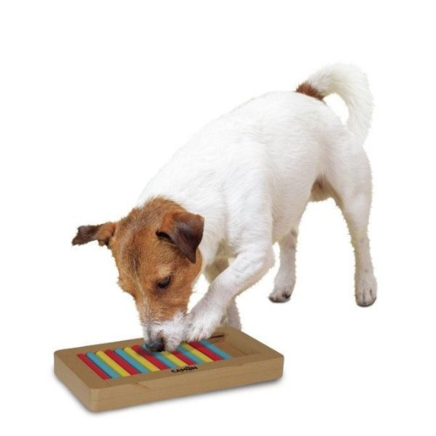 Cani Camon | Gioco Attivazione Mentale Genius Camon