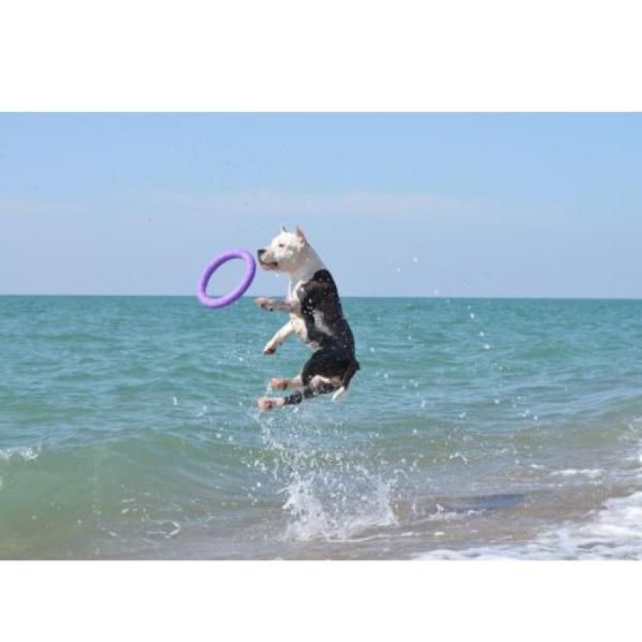 Cani Ferplast | Ferplast Anelli Puller Gioco Per Cani
